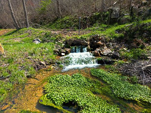 25598 C-228 Tract #1, Norwood, MO, 65717 | Card Image