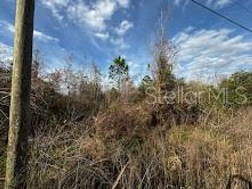 4125 Quail Nest Ln, NEW SMYRNA BEACH, FL, 32168-5208 | Card Image