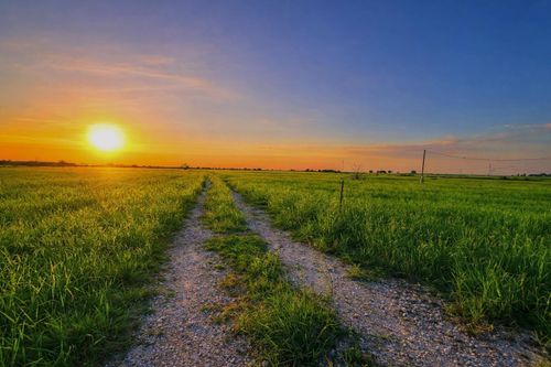 TBD Bedias Dr, Bedias, TX, 77831 | Card Image