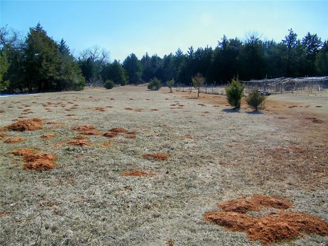 4365 N Luther Rd, House other with 2 bedrooms, 1 bathrooms and null parking in Coyle OK | Image 9