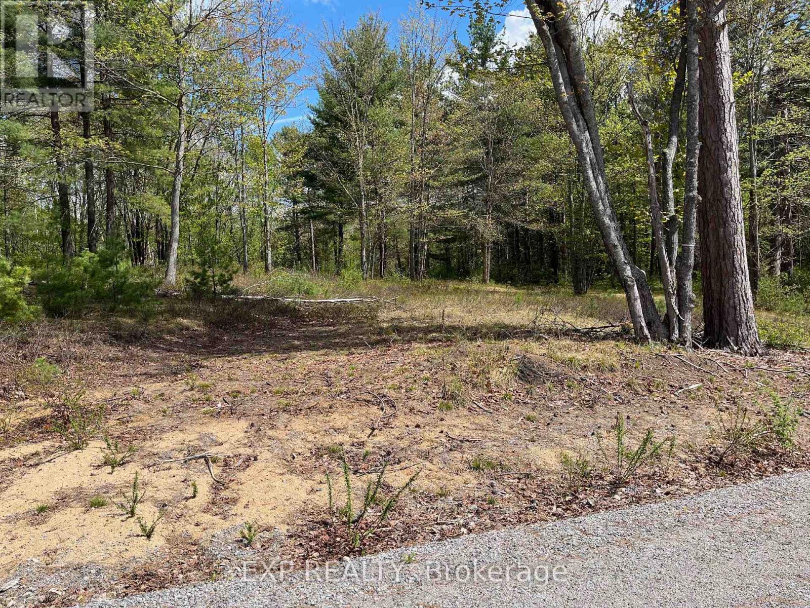 Land in Madawaska Valley