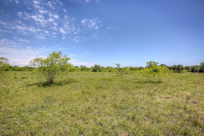 Lot 2 Fm 429, Home with 0 bedrooms, 0 bathrooms and null parking in Terrell TX | Image 17