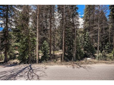 34408 Forest Estates Rd, Home with 0 bedrooms, 0 bathrooms and null parking in Evergreen CO | Image 2