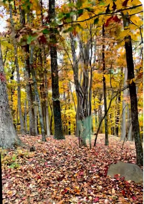 Lot 17 Vista Pkwy, Hardy, VA, 24101 | Card Image