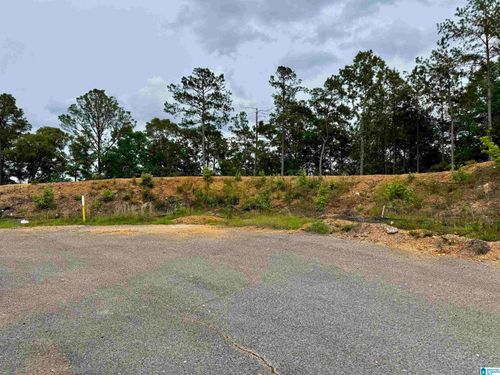 116-150 Broken Arrow Ln, SYLACAUGA, AL, 35151 | Card Image