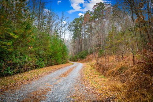 5.97AC Bullen Gap Road, Blue Ridge, GA, 30513 | Card Image