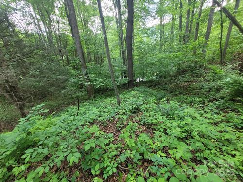 111-00 Serendipity Ln, Waynesville, NC, 28785 | Card Image