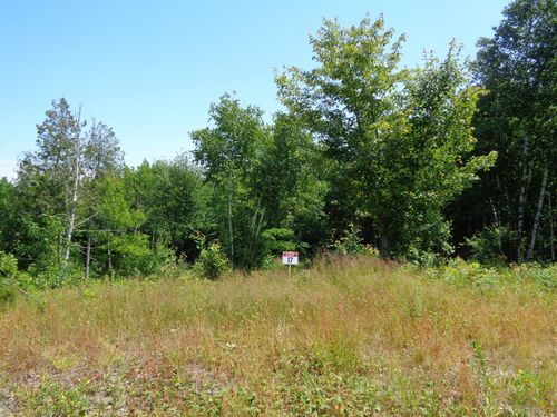 Lot 17 Bailey Mountain Dr, Franklin, ME, 04634 | Card Image