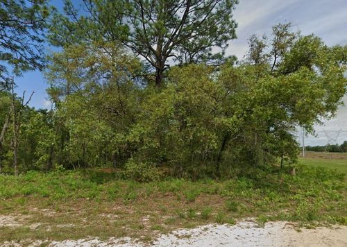6895 N Varsity Ave, Citrus Springs, FL, 34434 | Card Image