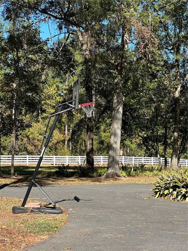 BASKETBALL HOOP | Image 59
