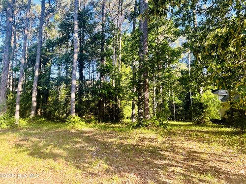 402-116 Magnolia Bay Ln, Wallace, NC, 28466-1368 | Card Image