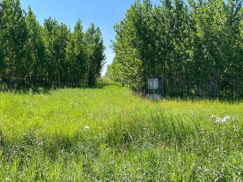 TBD 380th Ave Ne, Goodridge, MN, 56725 | Card Image