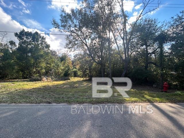 Kirkman Ln, Fairhope, AL 36532 #1
