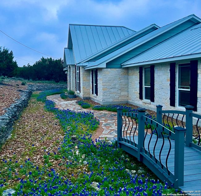 Bluebonnets in the spring! | Image 39