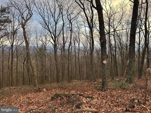 LOT 24 SEC 10 Lawyer Lane, SLANESVILLE, WV, 25444 | Card Image
