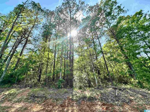 na-0 Al Highway 139, Maplesville, AL, 36750 | Card Image