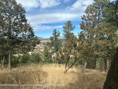 Lot 31E Flicker Ct, Alto, NM, 88312 | Card Image