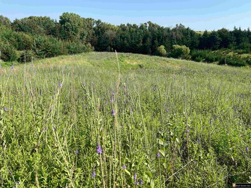 Aspen Estates Lot 7, David City, NE, 68632 | Card Image