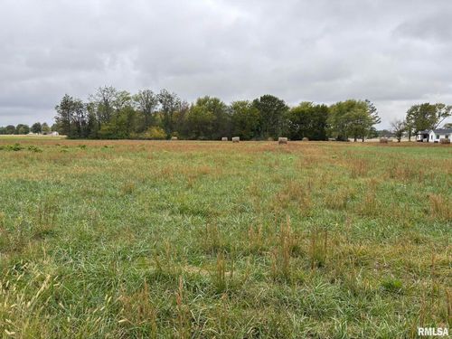 1200 Block Roddy Road, Salem, IL, 62881 | Card Image