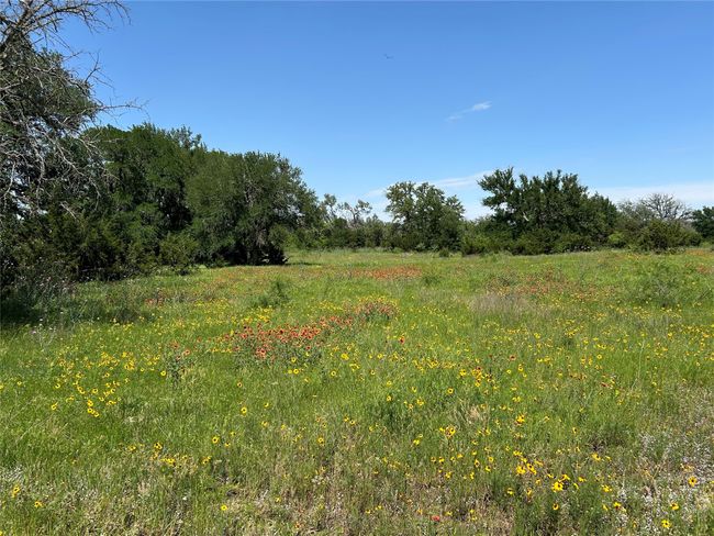 341 Fm 574 W, House other with 5 bedrooms, 3 bathrooms and null parking in Goldthwaite TX | Image 11