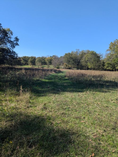 000 N Dade 85, Lockwood, MO, 65682 | Card Image