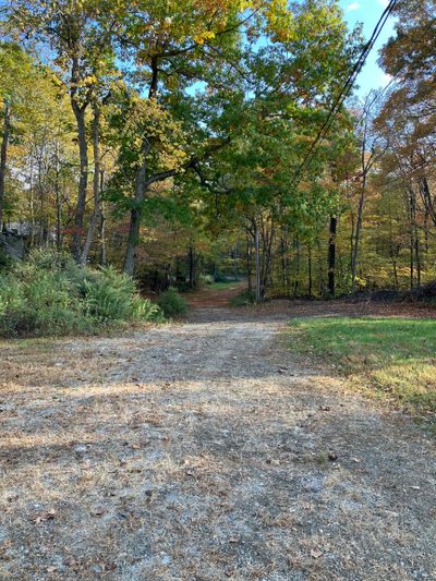 Looking down the driveway. | Image 2