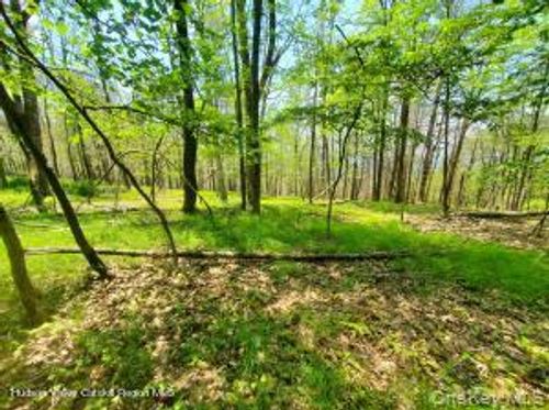 TBD Piney Lane, Wawarsing, NY, 12420 | Card Image