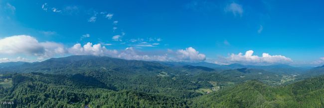 306 Bear Branch Rd, Home with 0 bedrooms, 0 bathrooms and null parking in Roan Mountain TN | Image 4