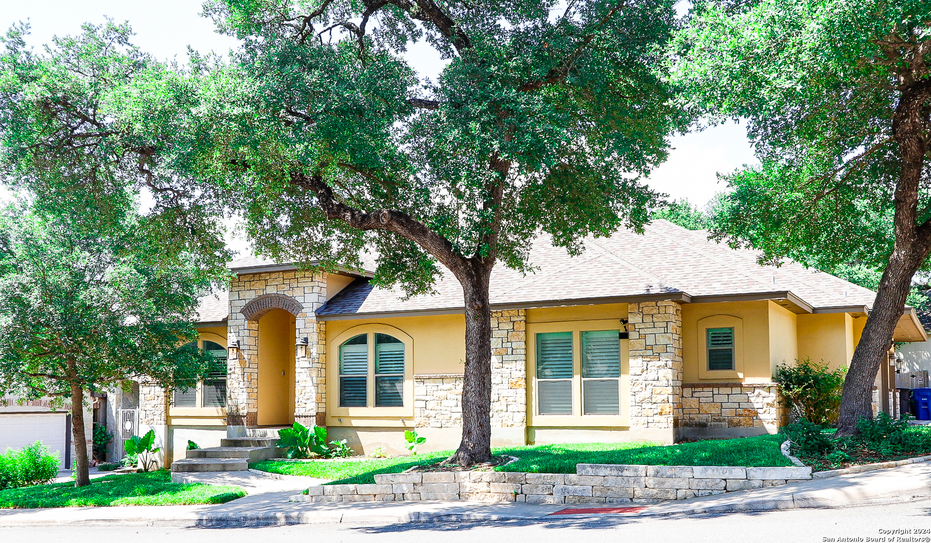 Money Tree , San Antonio, TX 78232