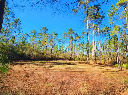 Lot 116 Sw Pier Rd, GREENVILLE, FL, 32331 | Card Image