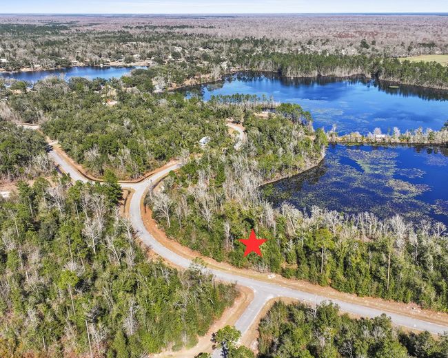 7 Seven Springs Dr, Home with 0 bedrooms, 0 bathrooms and null parking in Wewahitchka FL | Image 5