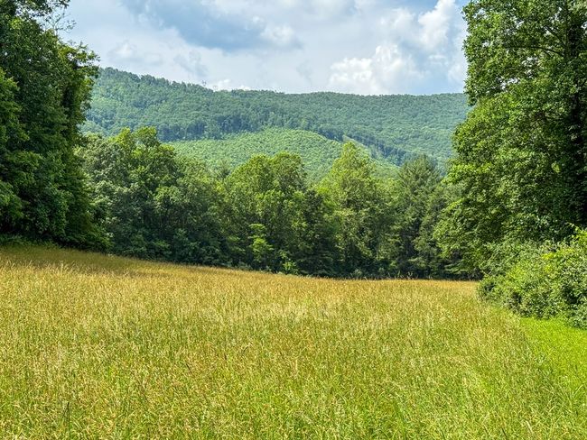 2486 Laurel Fork Rd, Home with 0 bedrooms, 0 bathrooms and null parking in Rocky Gap VA | Image 38