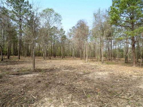 TBD Jarrell Loop, Evans, LA, 70639 | Card Image
