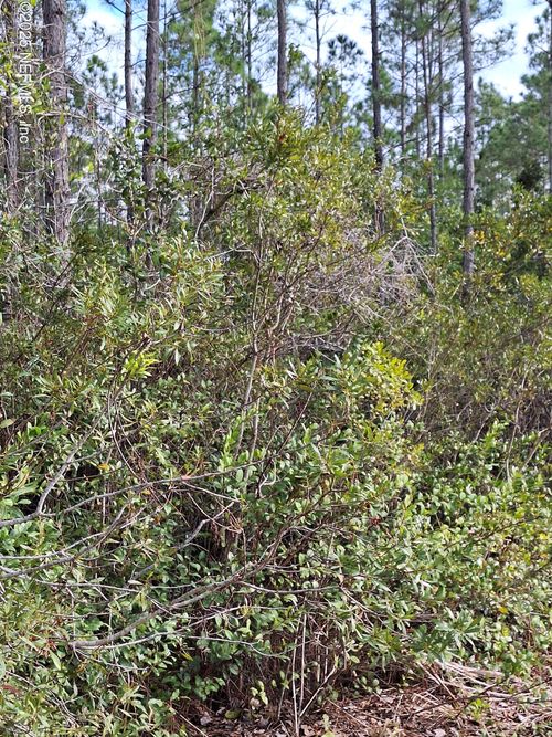 0 E Escambia Ln, Palatka, FL, 32177 | Card Image