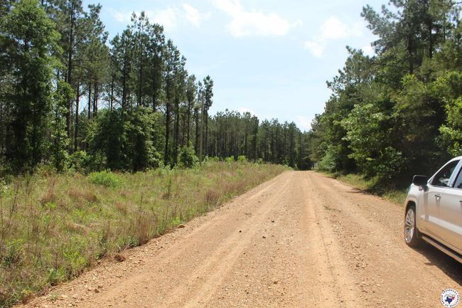 201 Nevada 25, Home with 0 bedrooms, 0 bathrooms and null parking in Rosston AR | Image 6