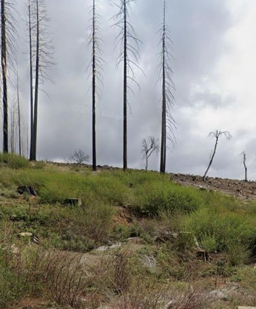 7450 Winding Way, Grizzly Flats, CA, 95636-9789 | Card Image