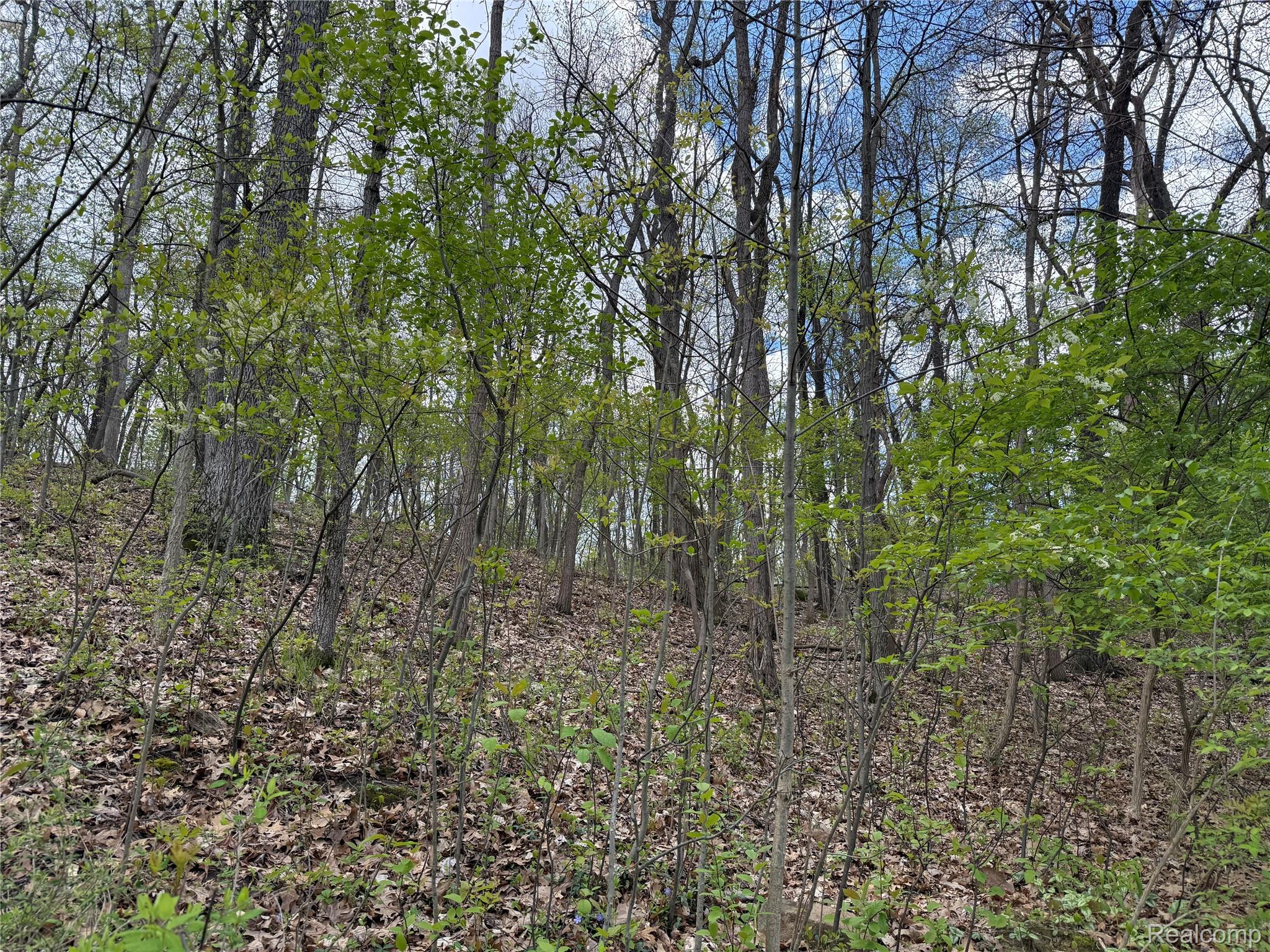 Land in Tyrone Township 2