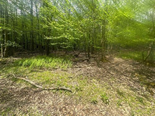 Lot 197 Woodbine Drive, Terra Alta, WV, 26764 | Card Image
