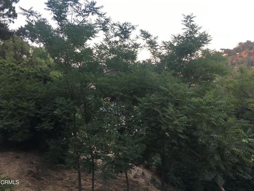 O Earl Apn 5422-009-040 Court, Los Angeles, CA, 90039 | Card Image