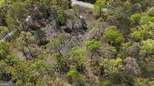 LOT 19 Heyden Ridge Dr, Home with 0 bedrooms, 0 bathrooms and null parking in Clarkesville GA | Image 13