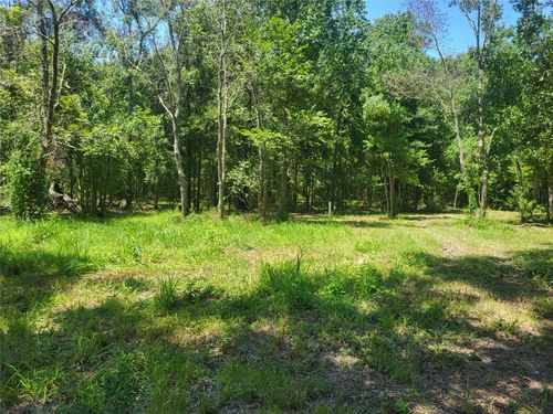 1050 Elmore Loop, Shepherd, TX, 77371-6794 | Card Image