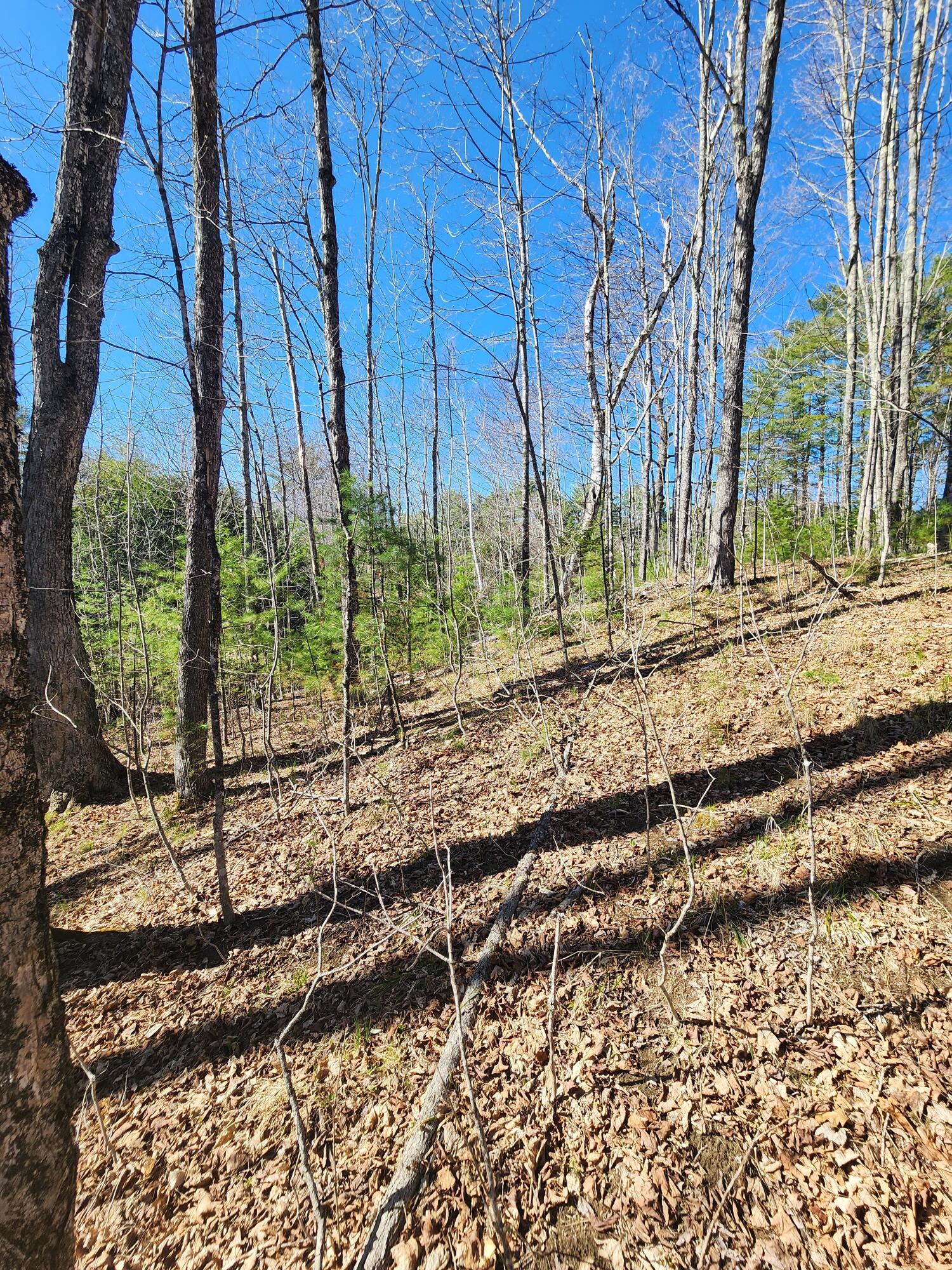 Land in Norridgewock 2