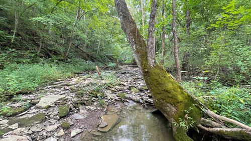 11300 L1 Mccrearys Ridge Road, Florence, IN, 47020 | Card Image