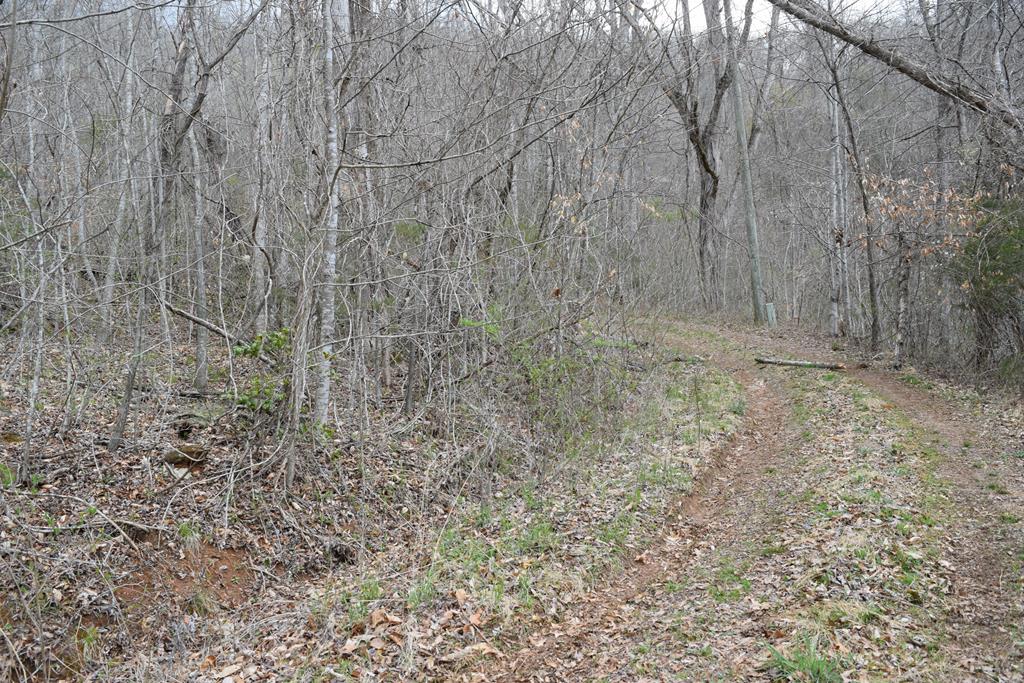 Land in Cullowhee 4