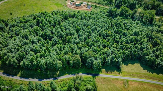10 Cowan Town Rd, Home with 0 bedrooms, 0 bathrooms and null parking in Butler TN | Image 11