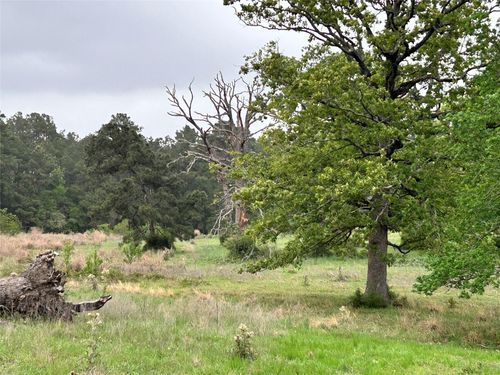 203 Overhill Court, Hillister, TX, 77624 | Card Image