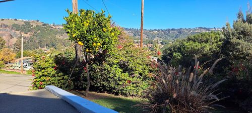 8019 Sterling Dr, Oakland, CA, 94605-3623 | Card Image