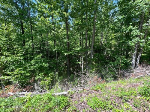Lot 26 Black Oak Dr, Sevierville, TN, 37876-9217 | Card Image