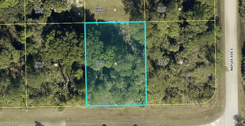 Land in LEHIGH ACRES 3