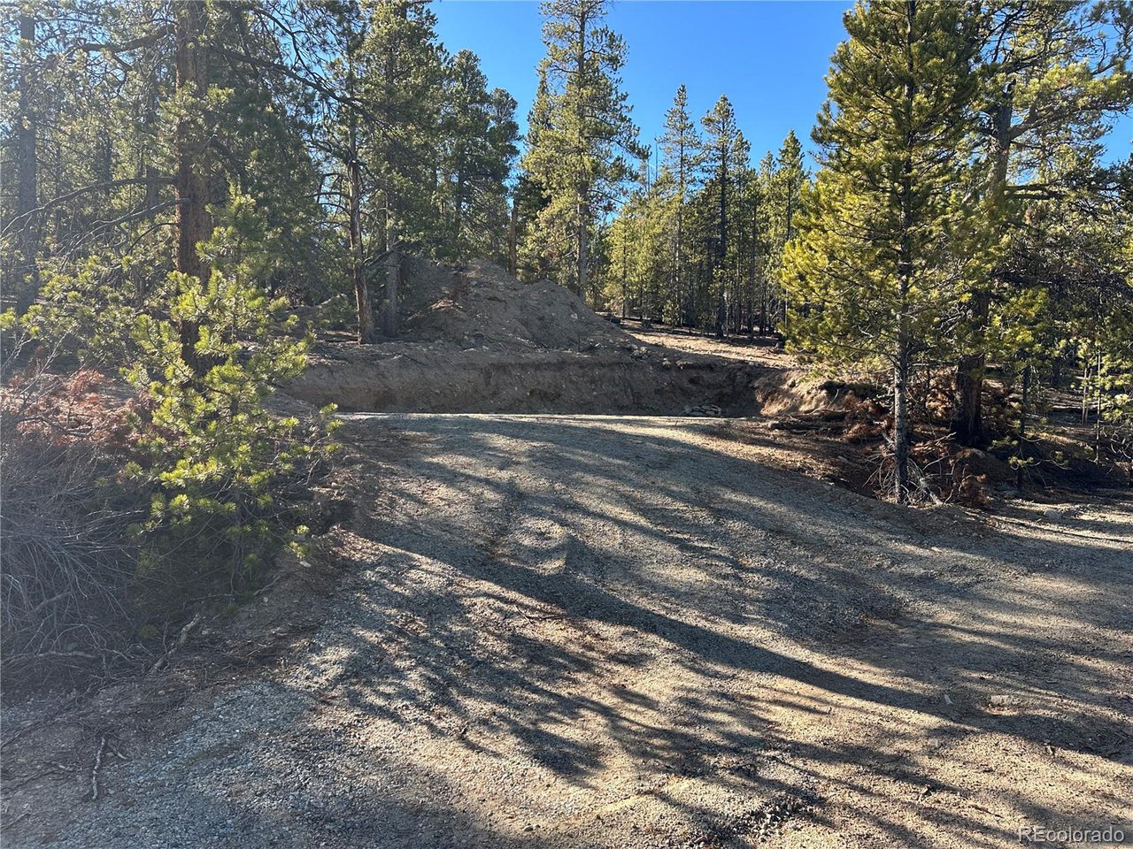 Land in Leadville 3